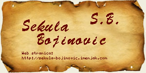 Sekula Bojinović vizit kartica